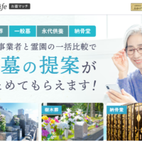 新着情報